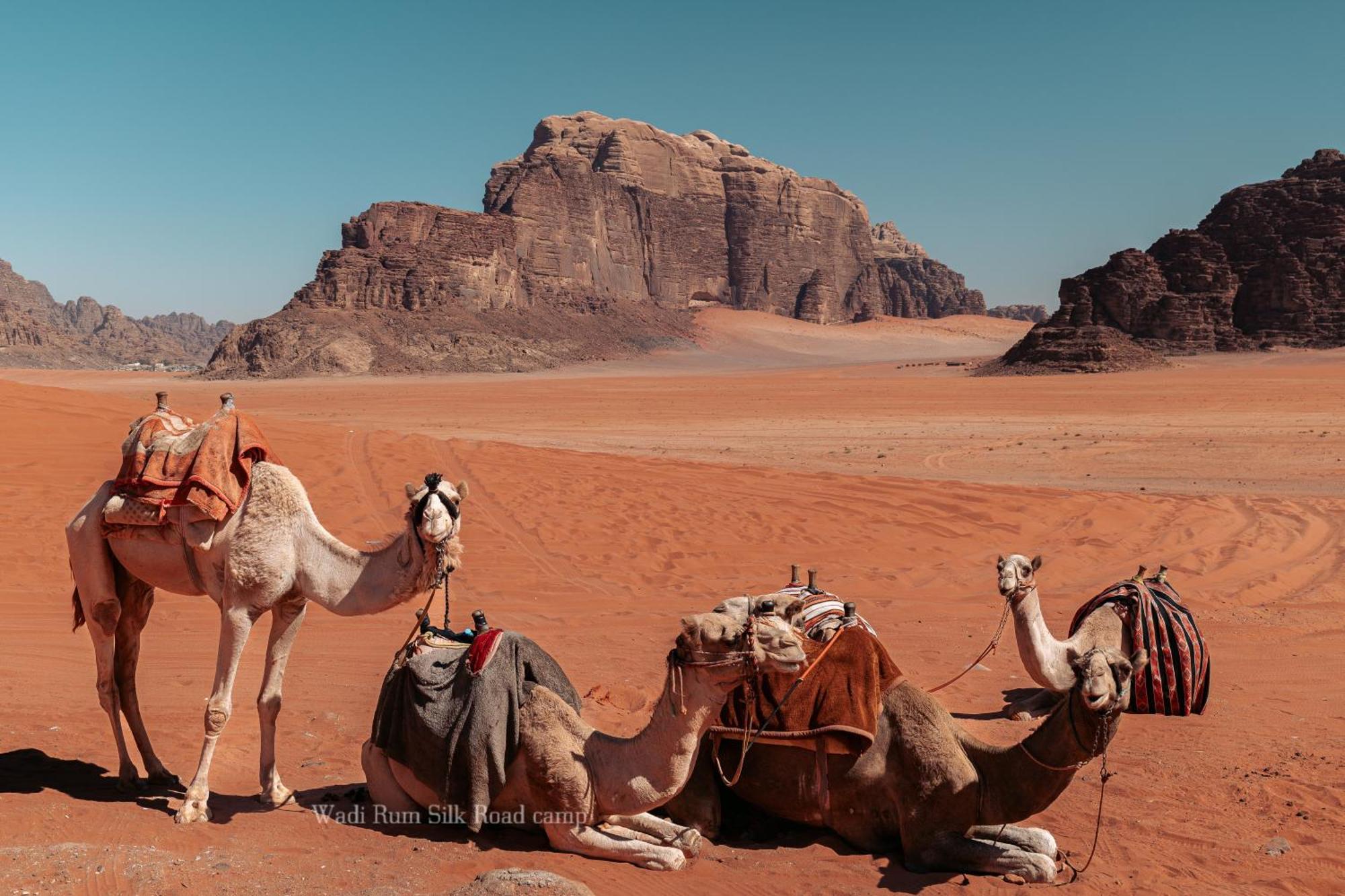 Wadi Rum Silk Road Camp Exteriér fotografie